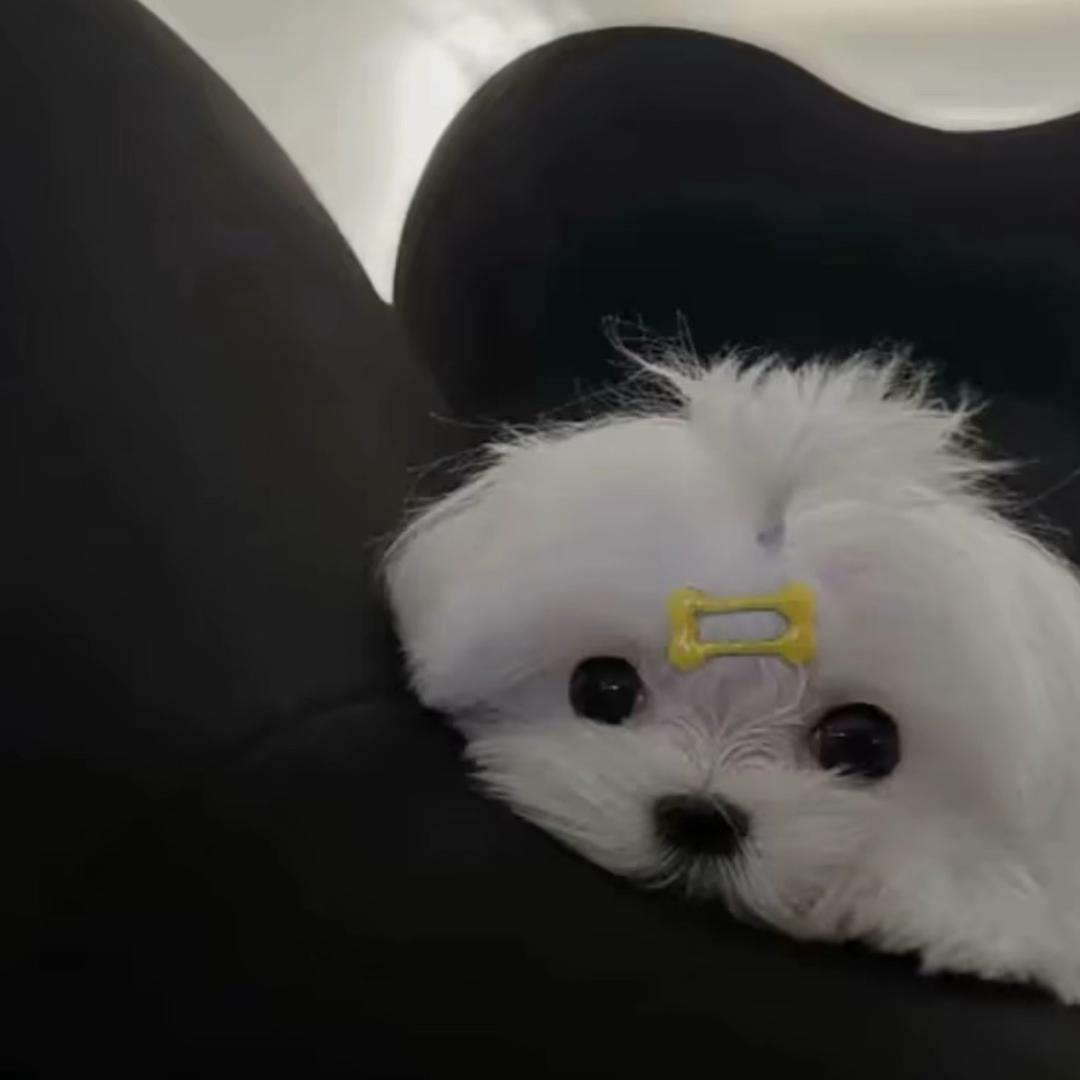 ㅤ  7