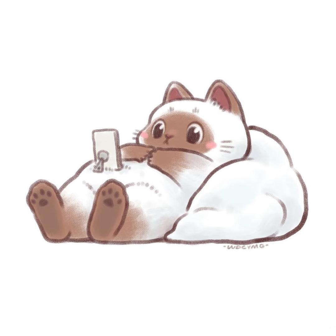 🐰奶思诺诺
