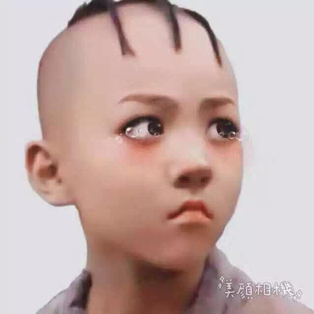 用户：流浪猫
