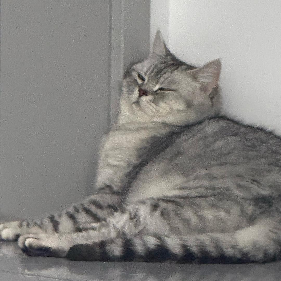 给我整一口