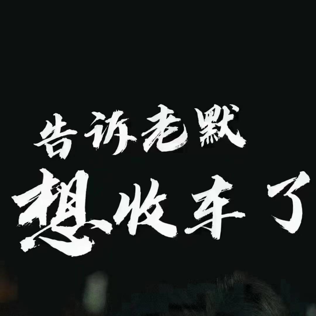 阿莫收车（专注新能源面包车）