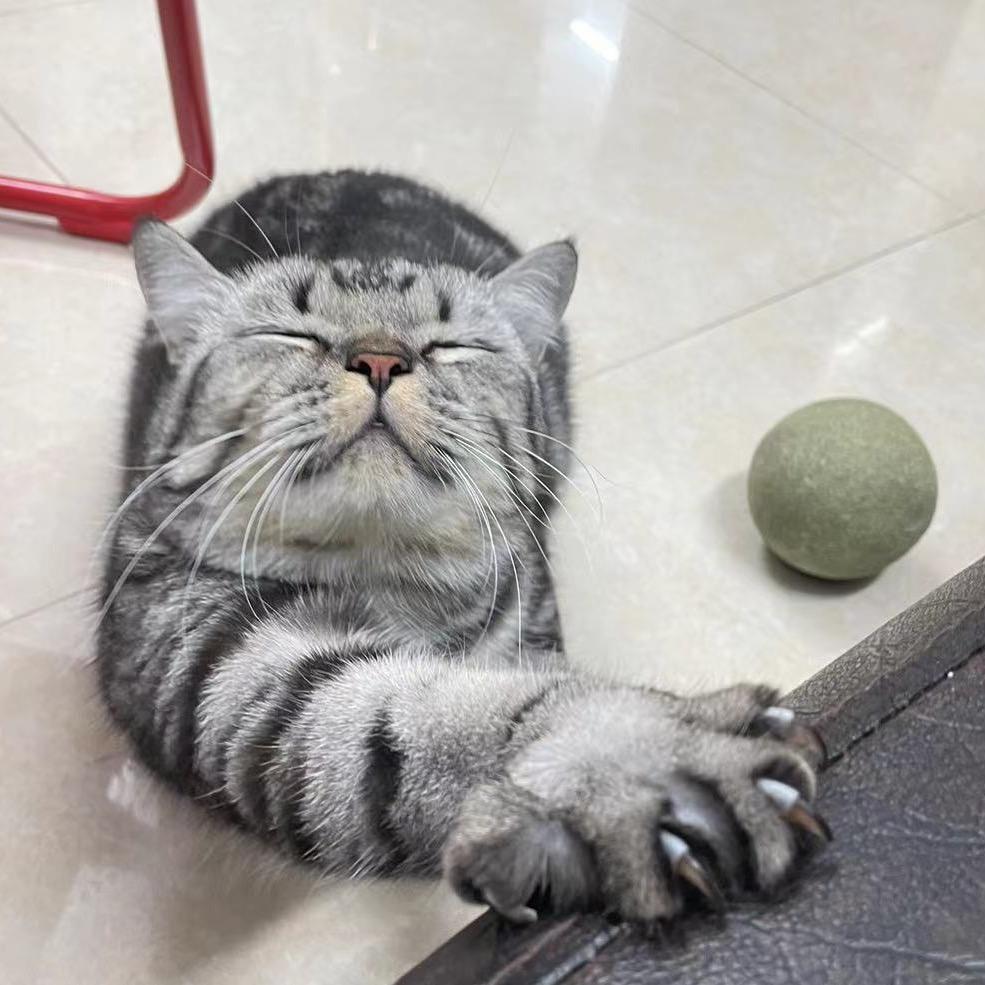 阿莲