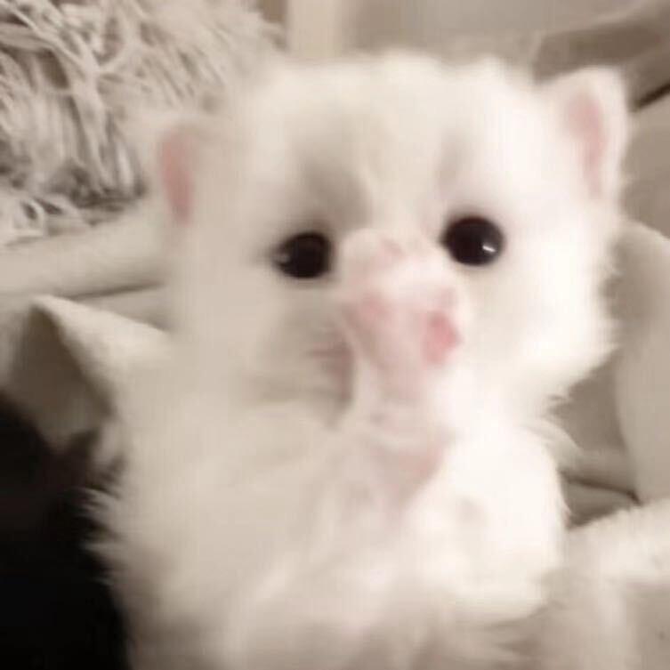 呜