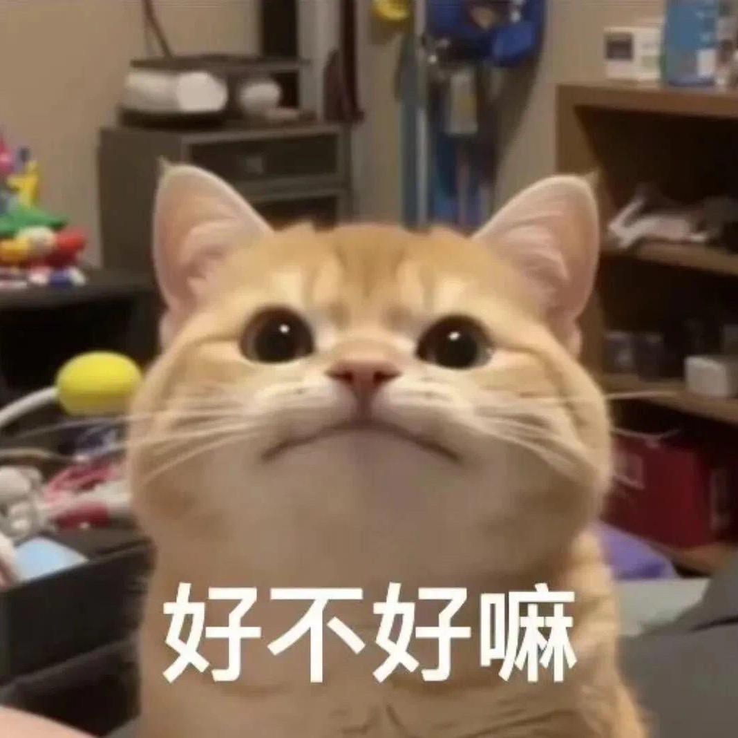 许七七