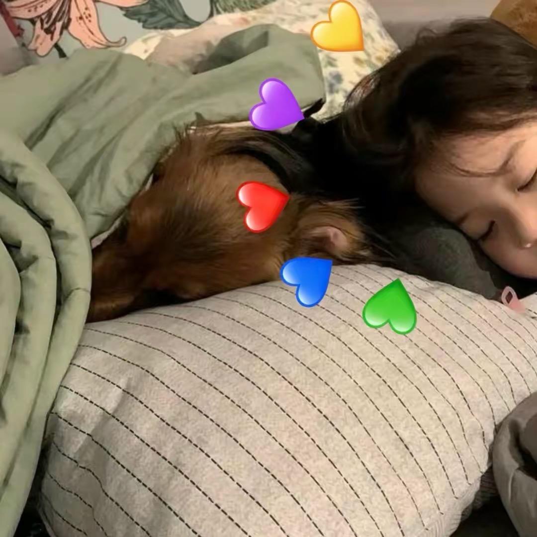 鹿子瑜