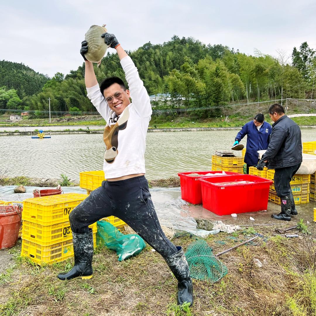 小天哥生态甲鱼