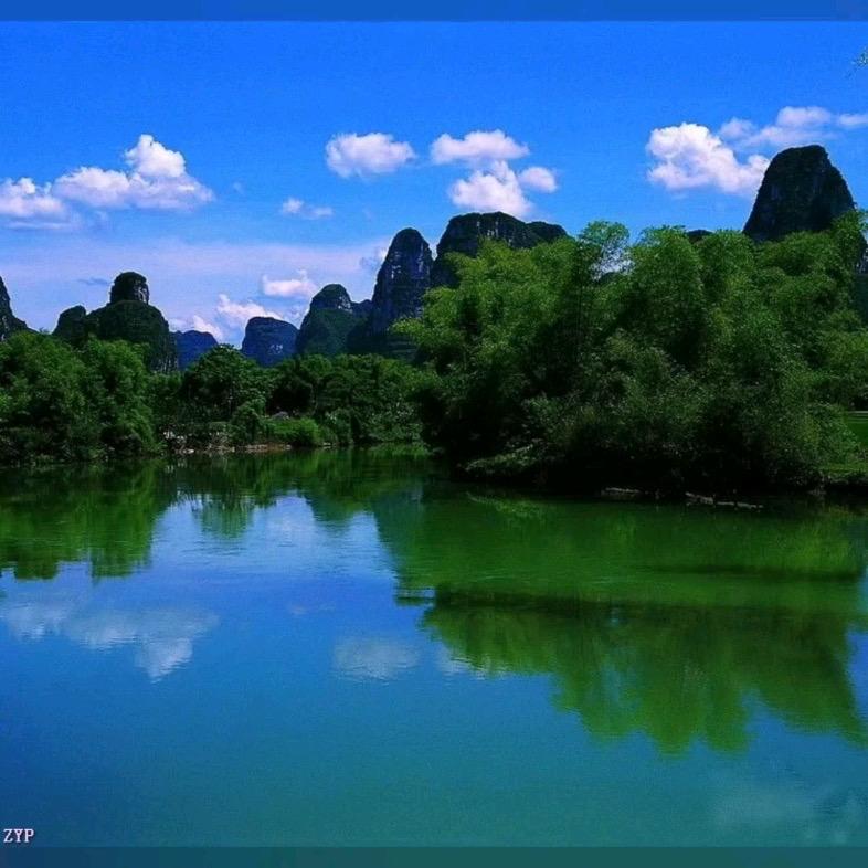 王老师王老师