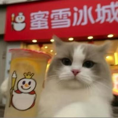 东方树叶