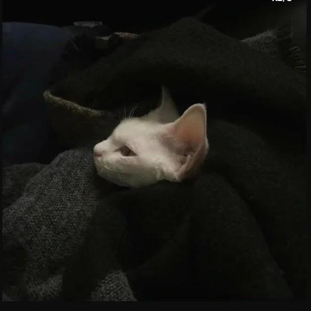 ღꪶꪫꪜꫀ云亦