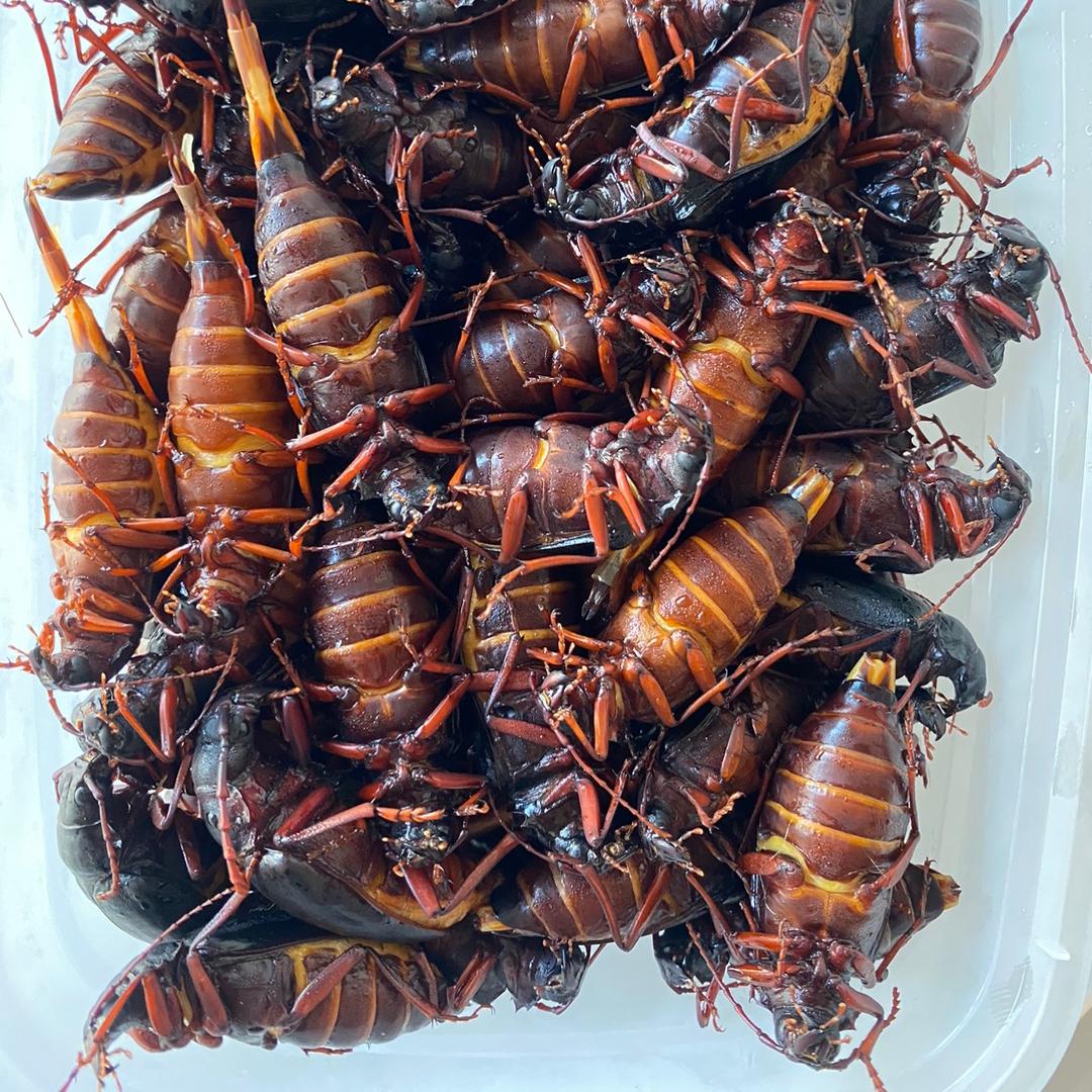 沂源食虫特产店