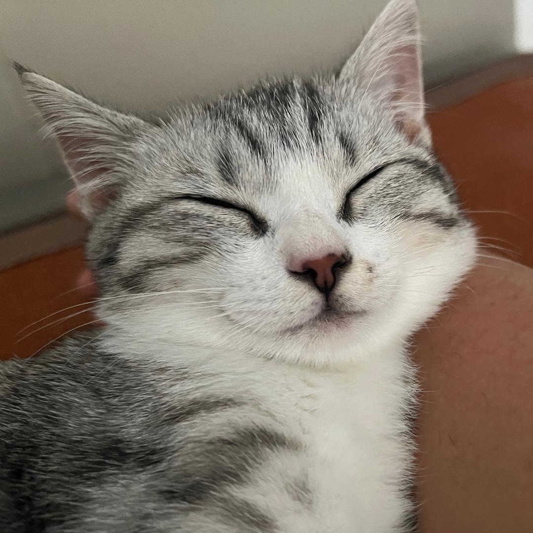 。。。