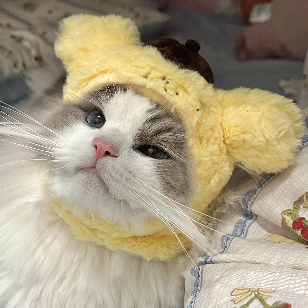 薯条条不是土豆🍟