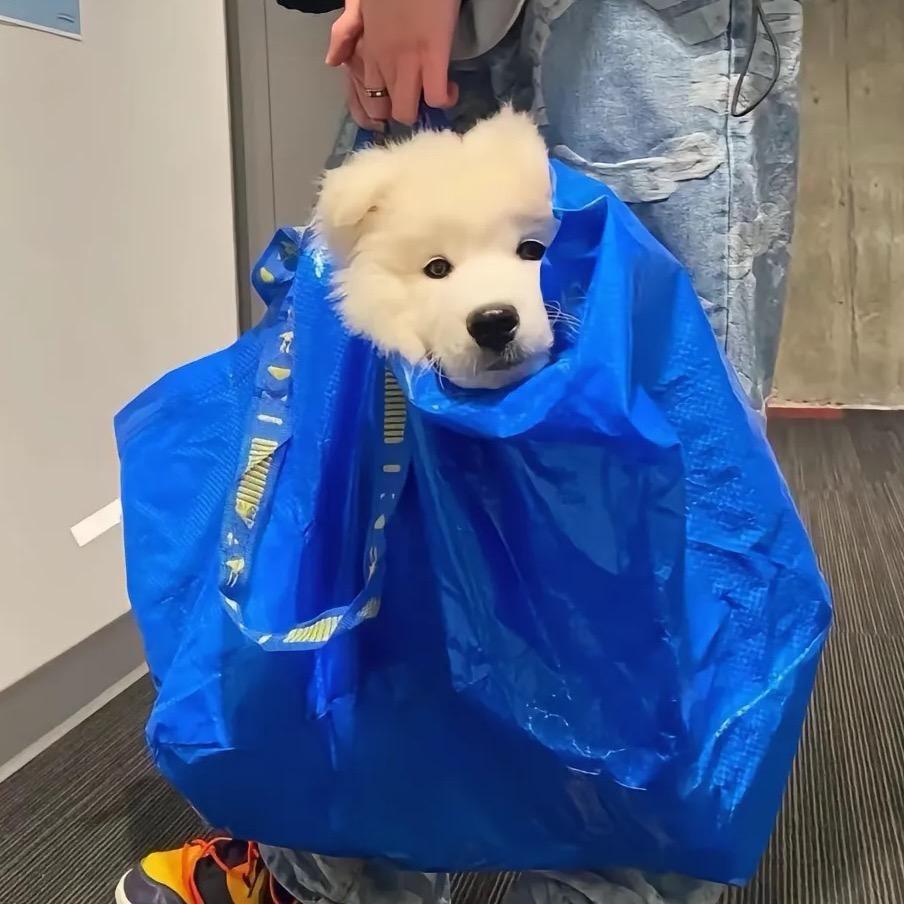 風