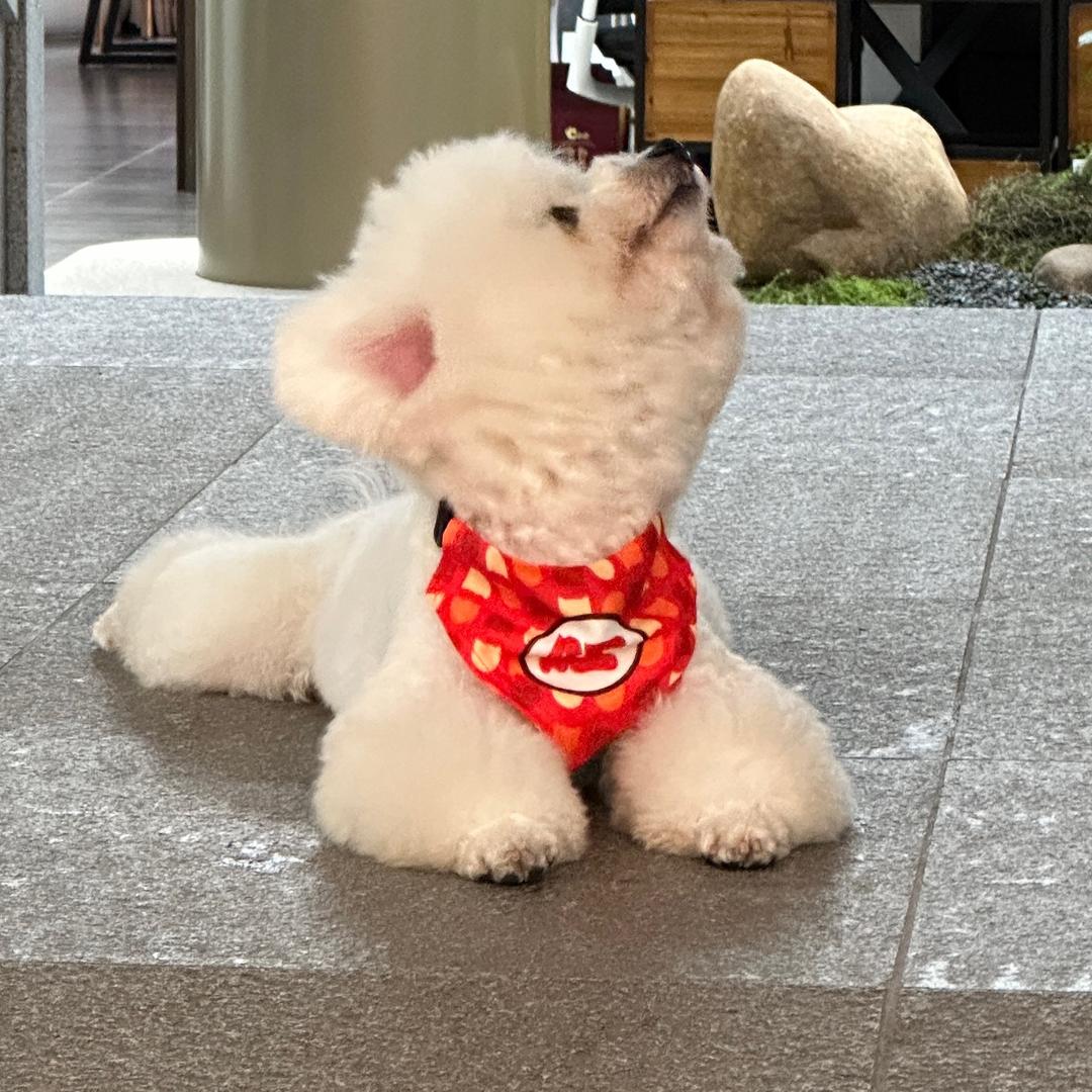 gujiao925
