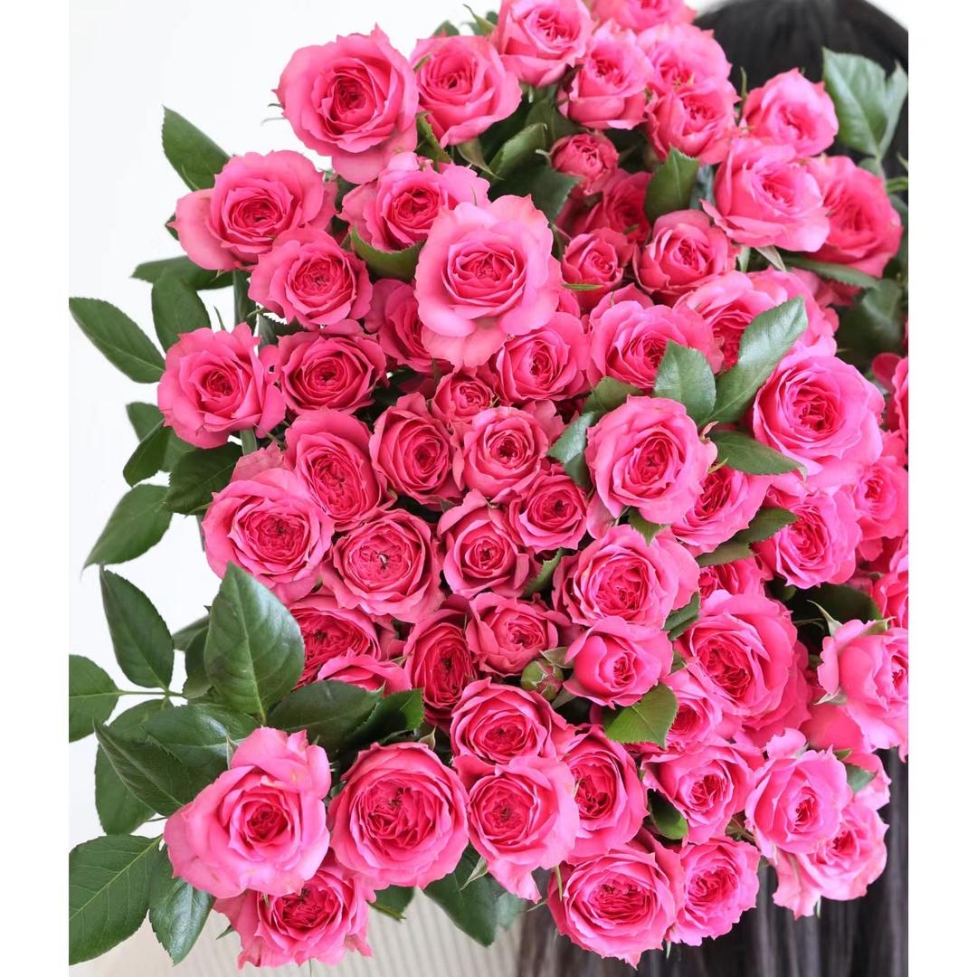 茉花世界鲜花店