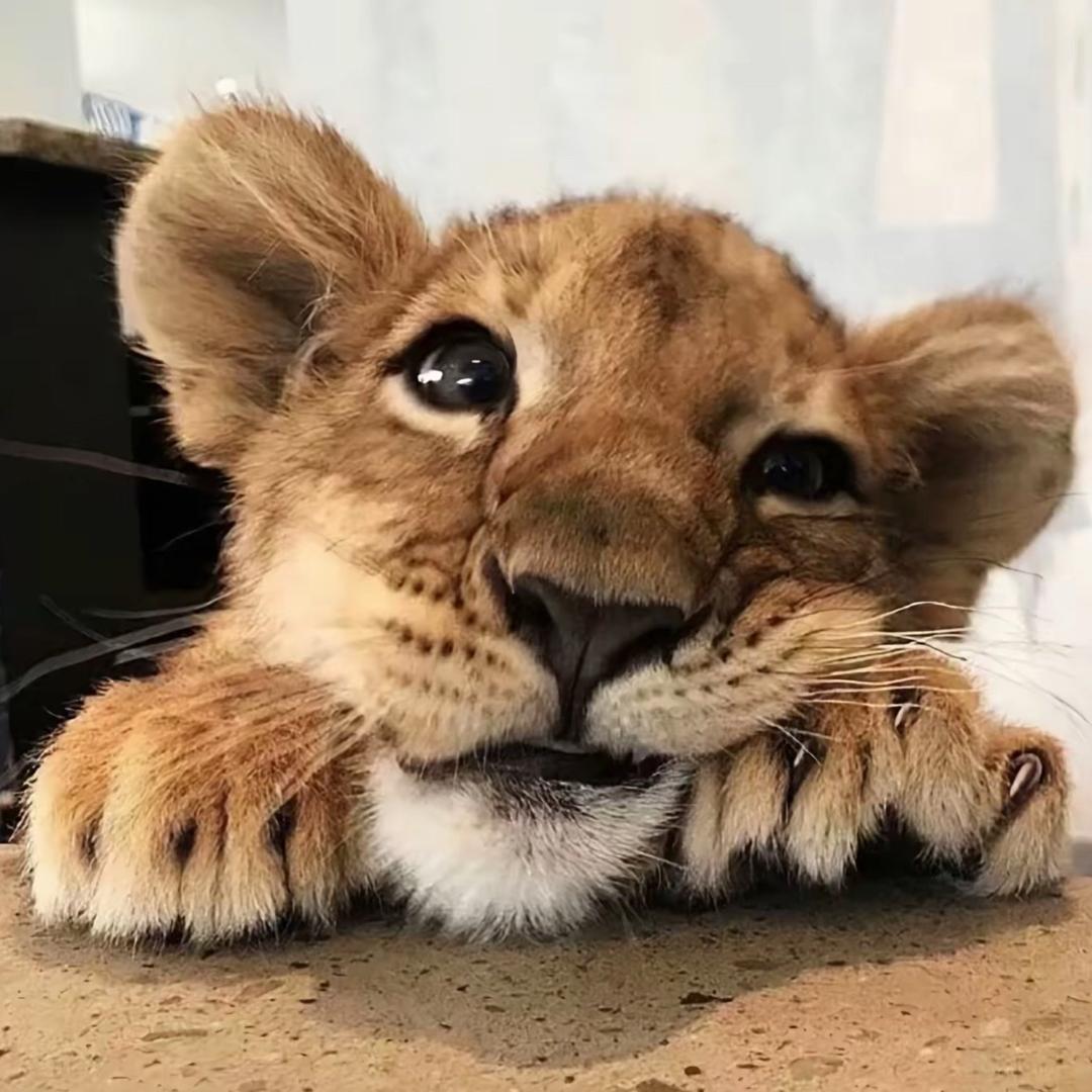 我糙这个世界怎么这么坏