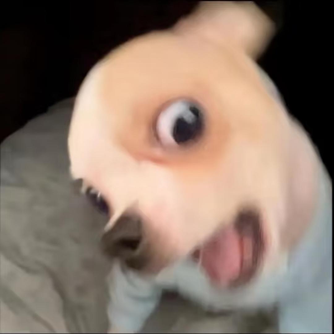 ︍︍ㅤㅤㅤ