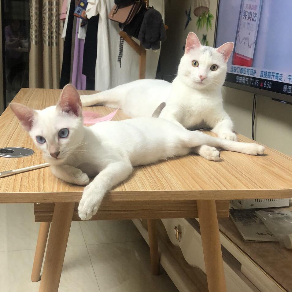Allen顺顺利利