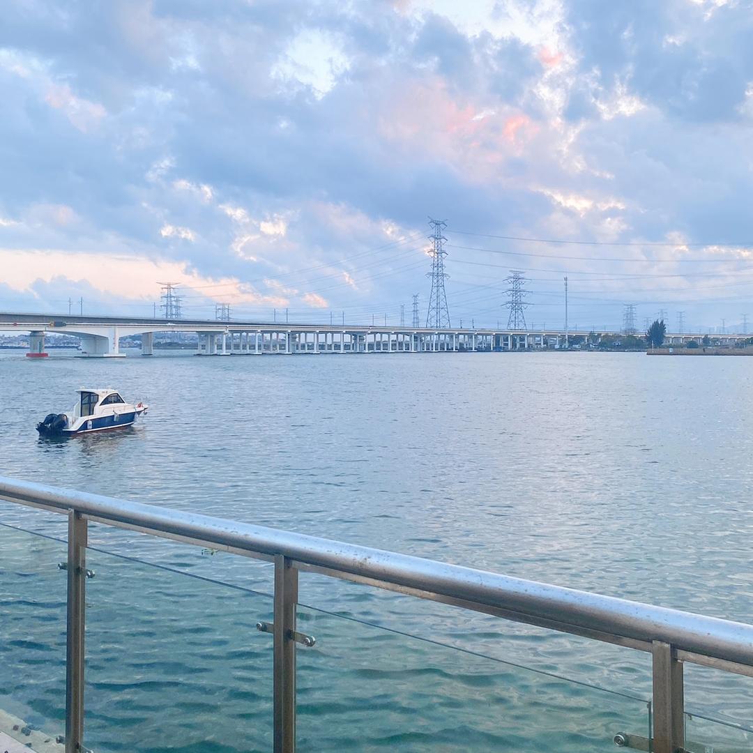 潮汕码头鱼行