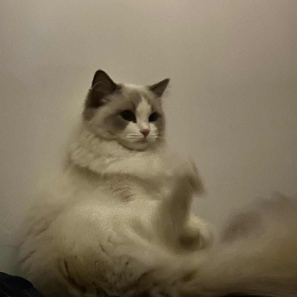 小姨妈🪖