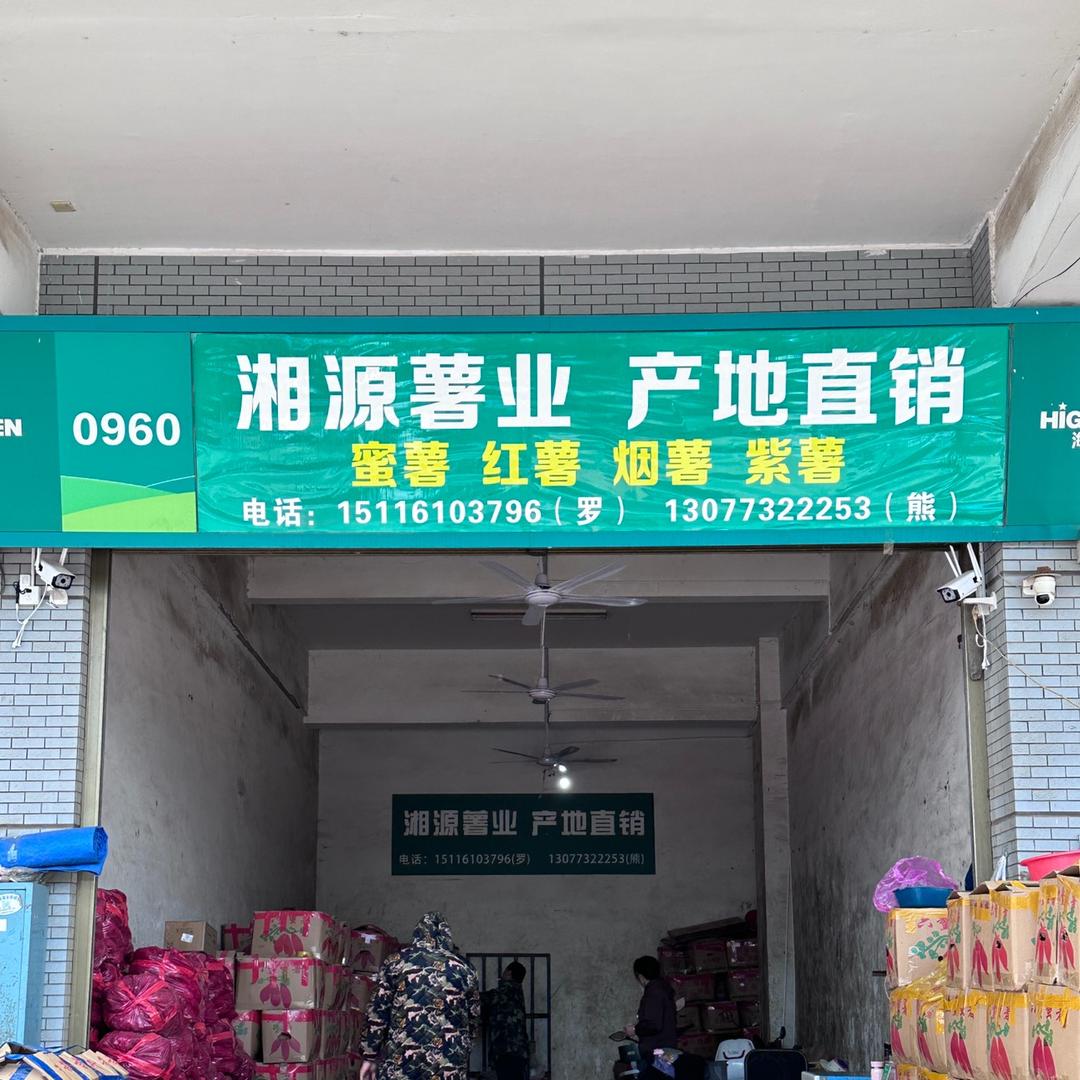 长沙小罗锅锅的红薯（烟薯25西瓜红蜜薯）