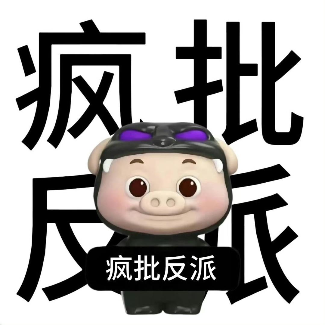 飞天大野猪🐗（暴躁版）