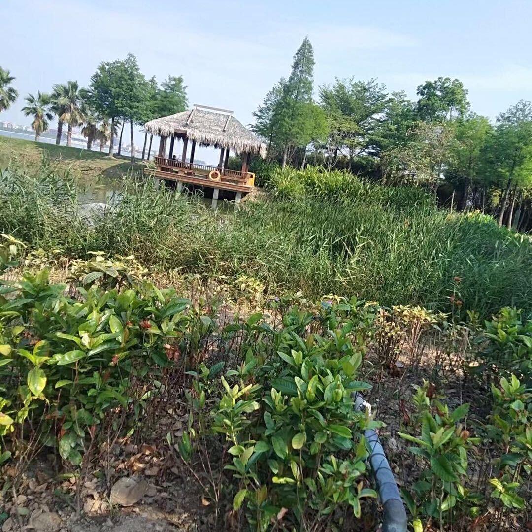 @ㅤㅤㅤㅤㅤ🚬ಇ᭄蘇໊࿆ྃ࿐