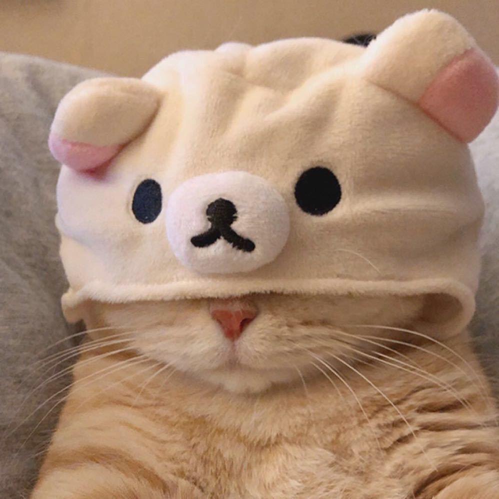 命运