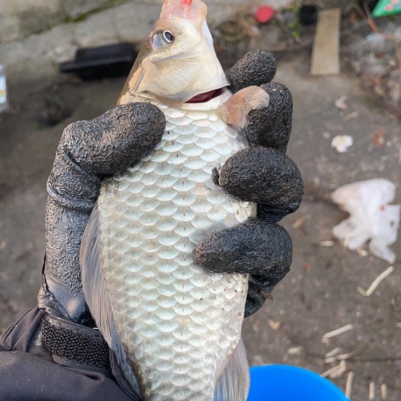 爱钓鱼的银行人