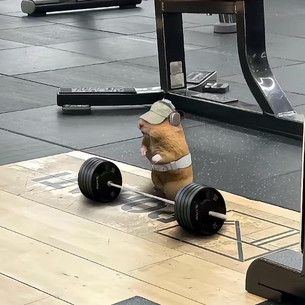 🏋️