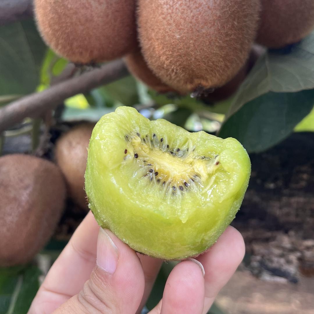 果荣果然鲜果行