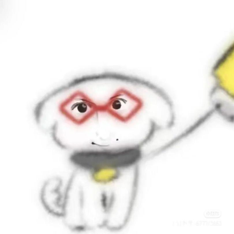 小小的龙（洲学弟）