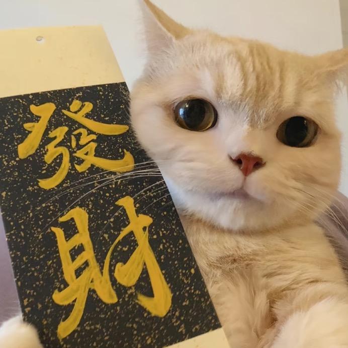 贼拉想睡觉💤