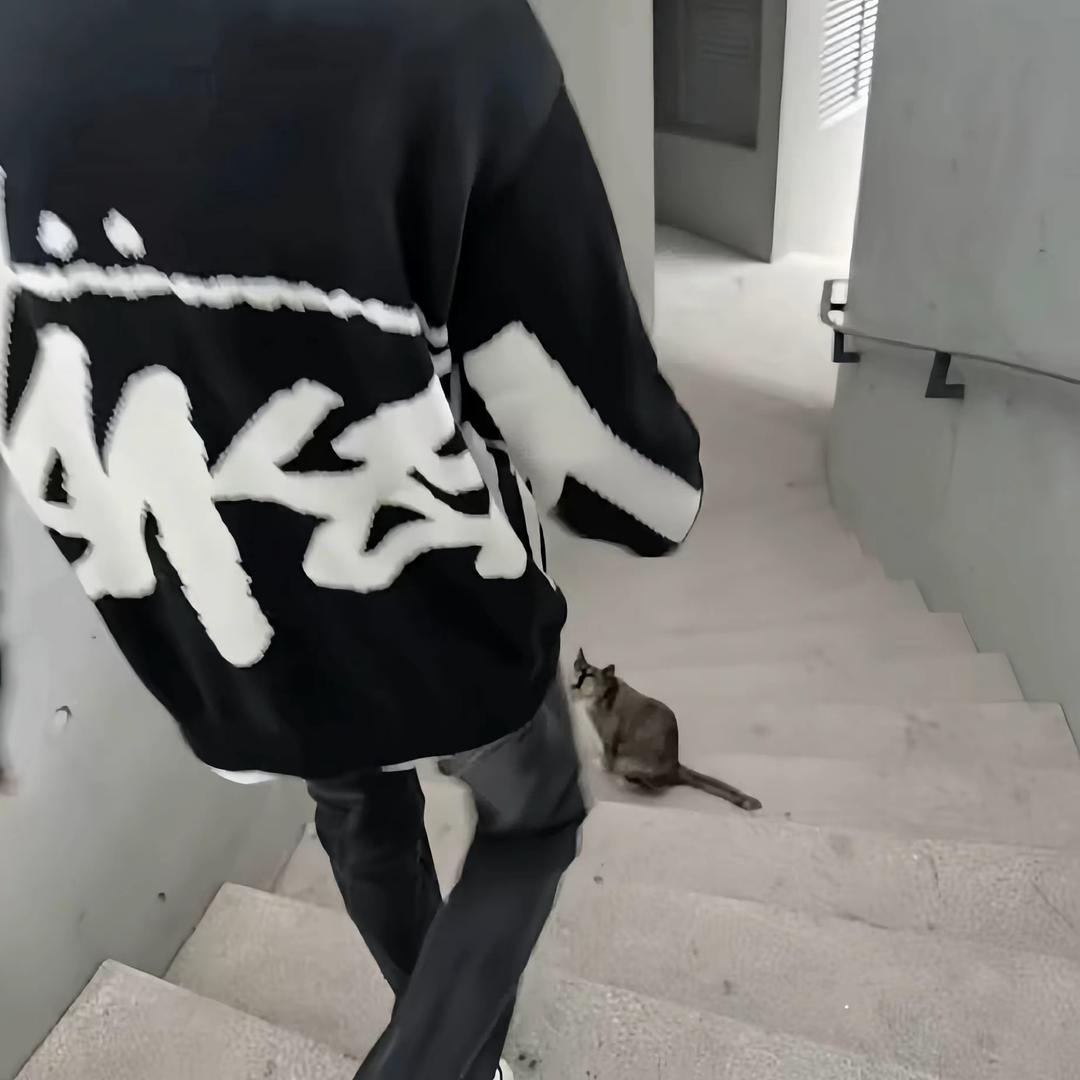 情