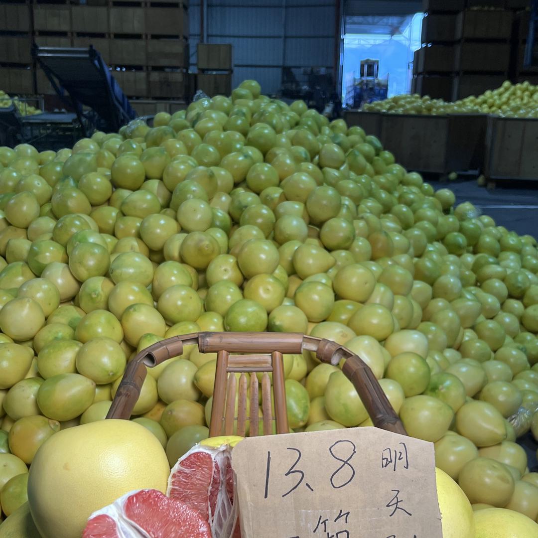 供销合作社龙海角美号