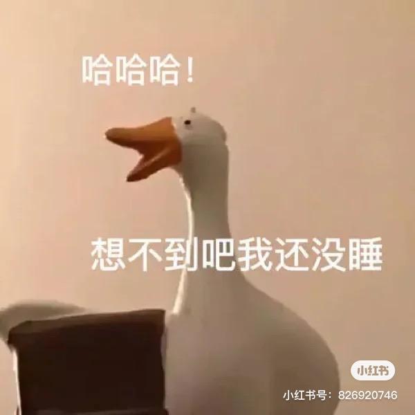 lin