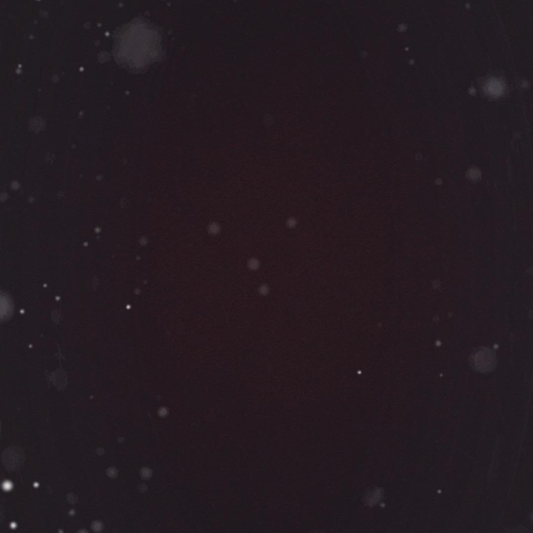 哈哈哈哈哈哈哈哈哈