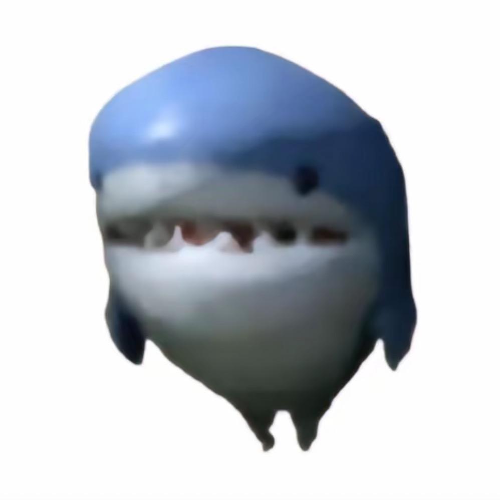 小盖