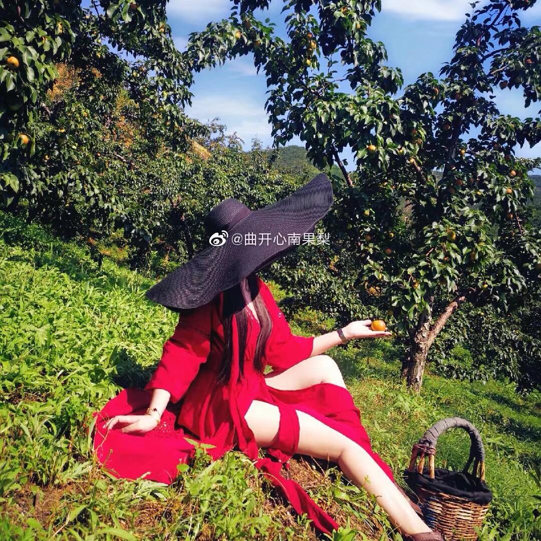 鞍山南果梨产地直发