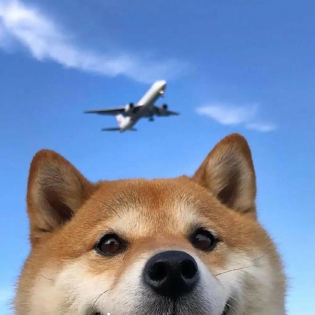 东方严选