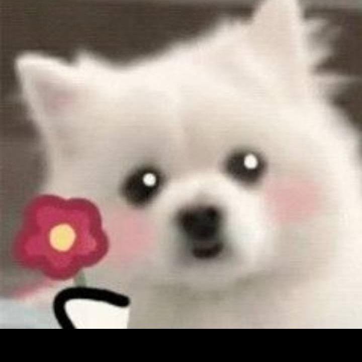 水蜜桃丸子