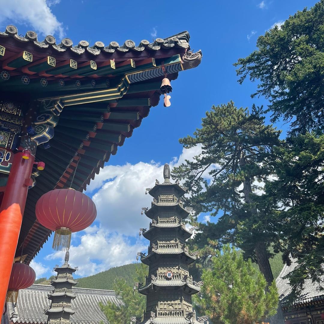 高高·