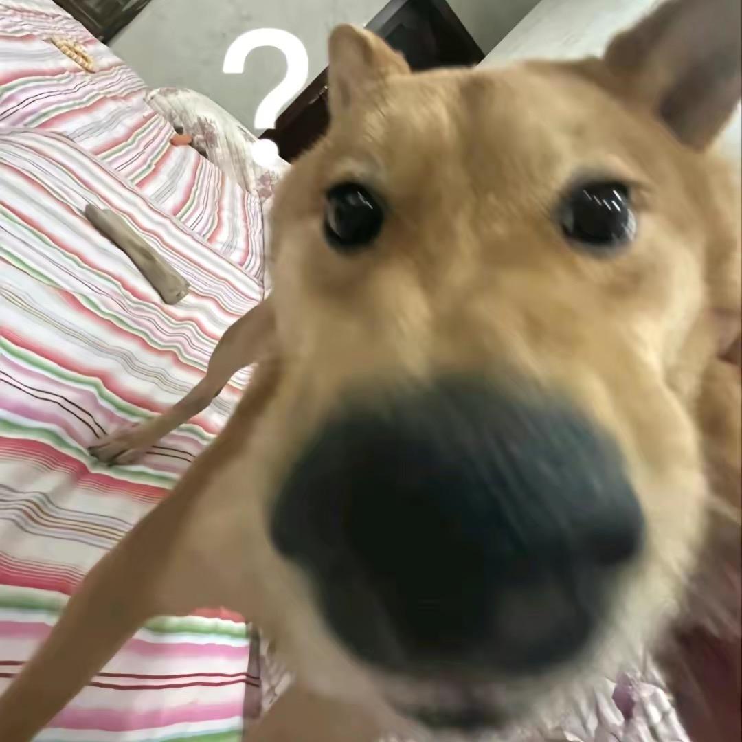 掐橙子