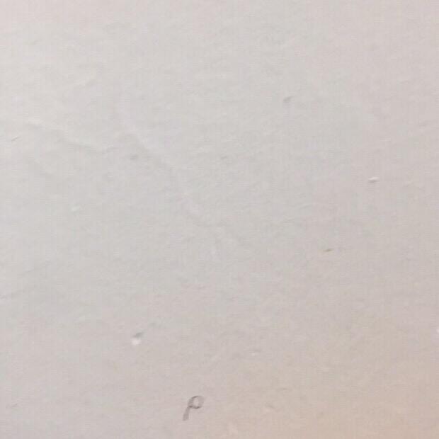 用户4759705091012