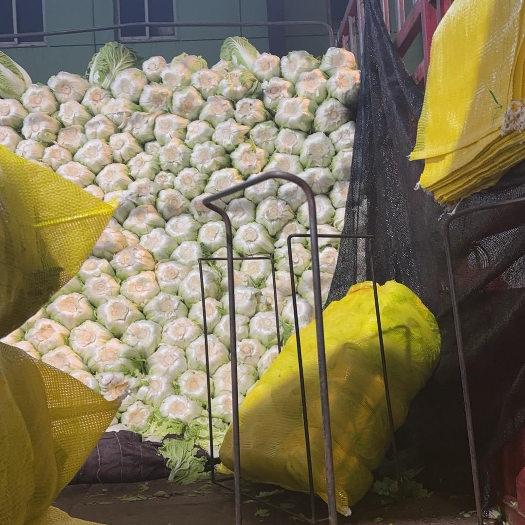 专业代卖精品蔬菜