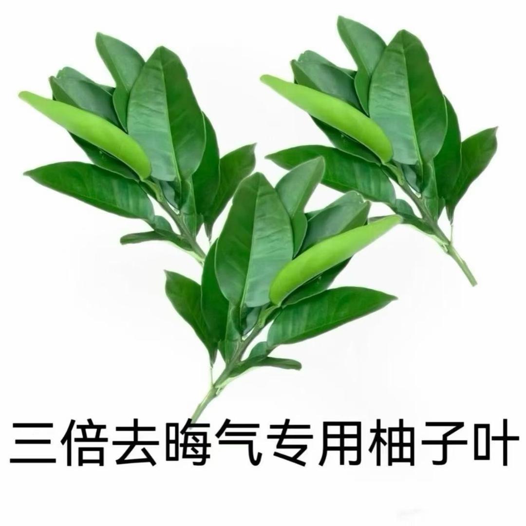 没有脑袋