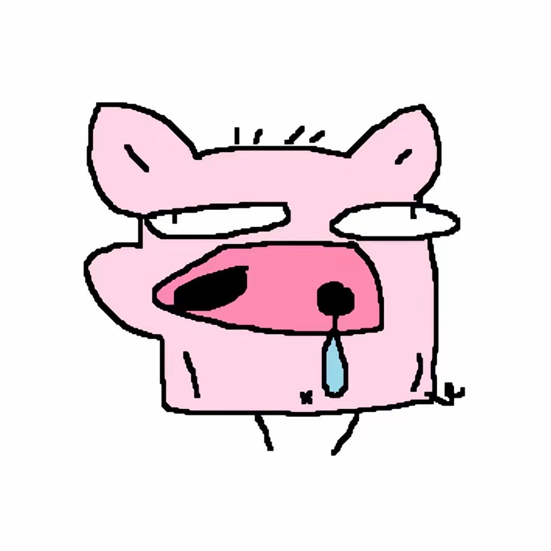 凌晨的猫