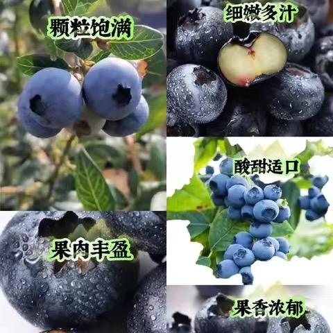 云南嵩成农业优品小铺