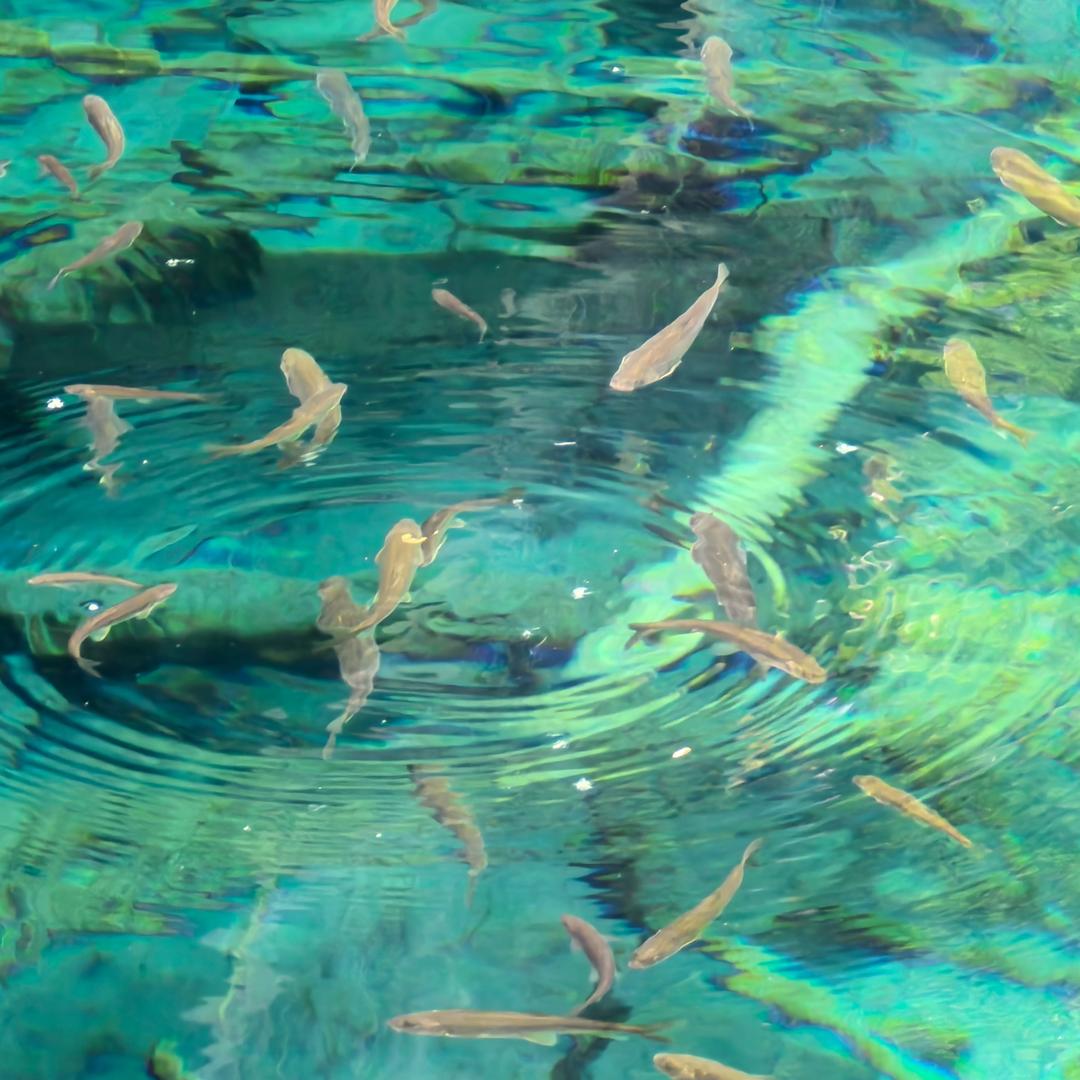 旅游推荐官-里里