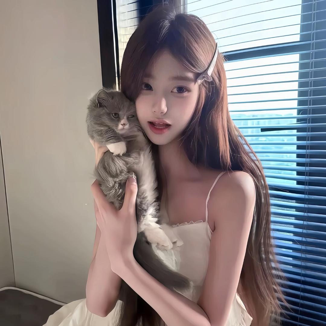土豆猫🥔